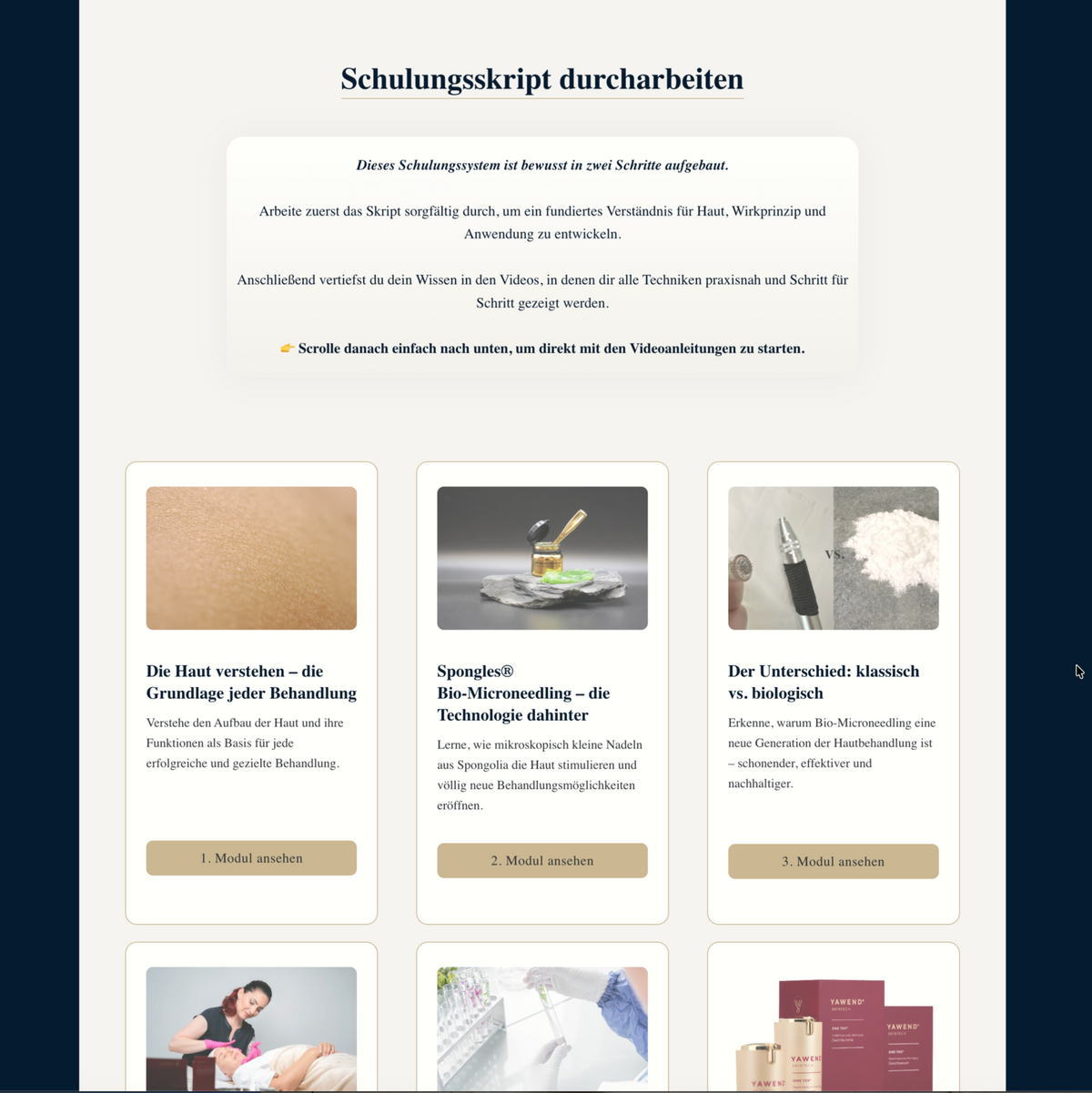 Strukturiertes Online-Schulungssystem für Kosmetiker:innen zur professionellen Anwendung von Spongles® Bio-Microneedling
